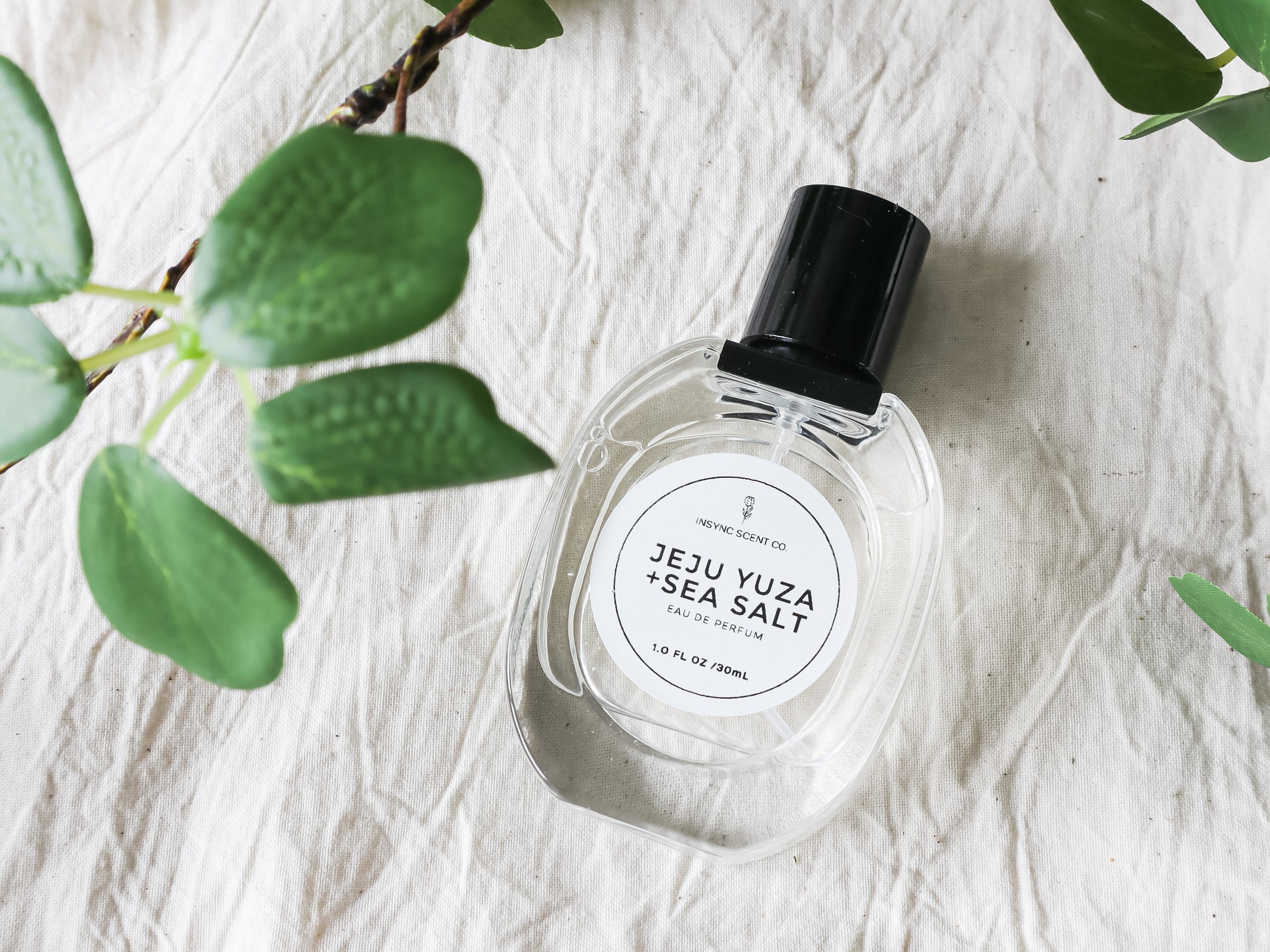 Jeju Yuza + Sea Salt Eau De Parfum – Insync Scent Co